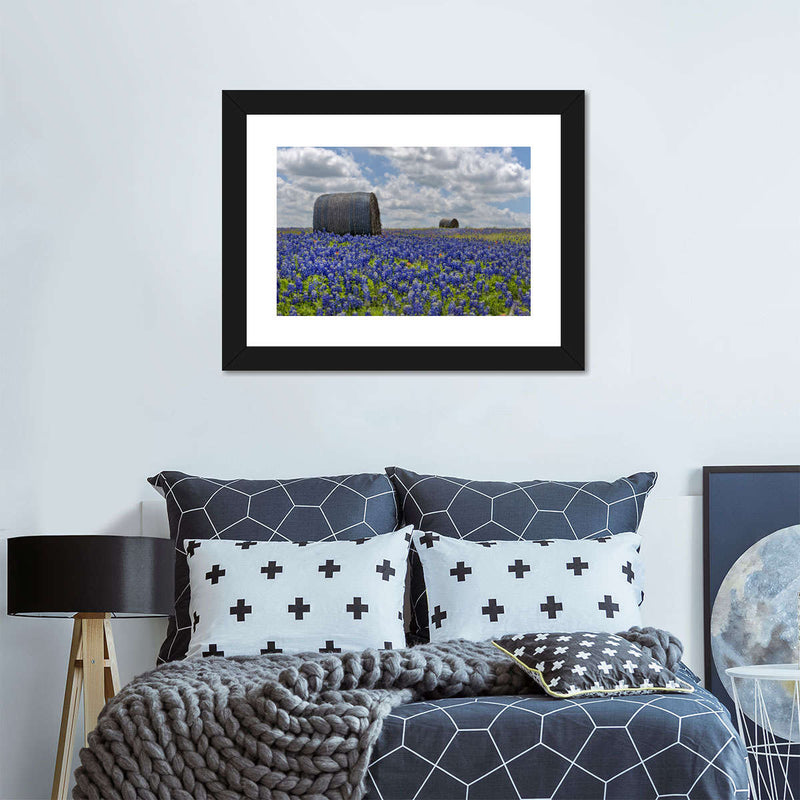 Texas Bluebonnets Wall Art