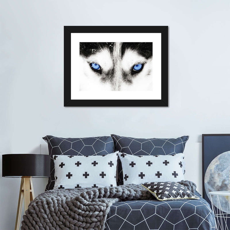 Husky's Eyes Wall Art