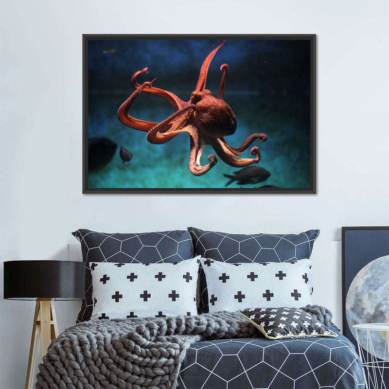 Octopus Vulgaris Wall Art