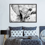Kenyan Baby Elephant Wall Art