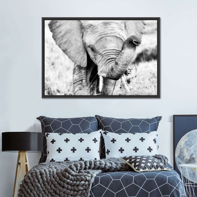 Kenyan Baby Elephant Wall Art
