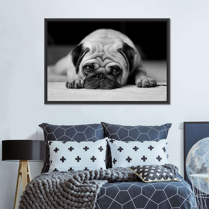 Sad Pug Wall Art
