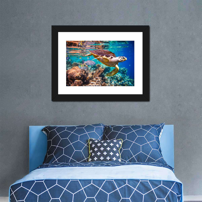 Vivid Sea Life Wall Art