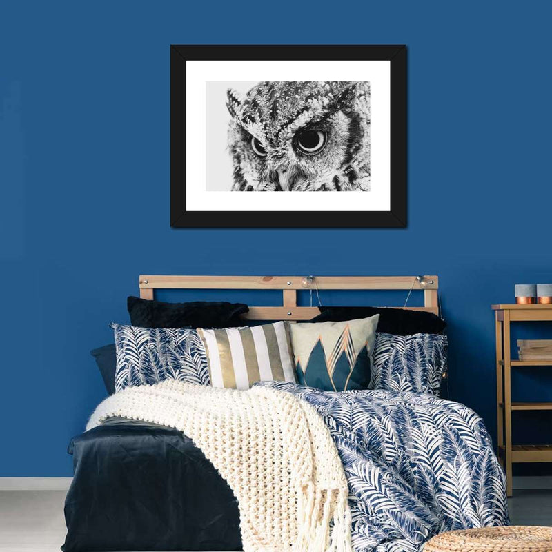 Staring Owl Wall Art