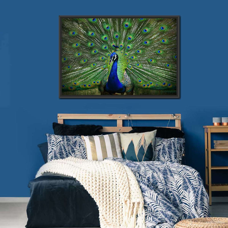 Peacock Feathers Wall Art