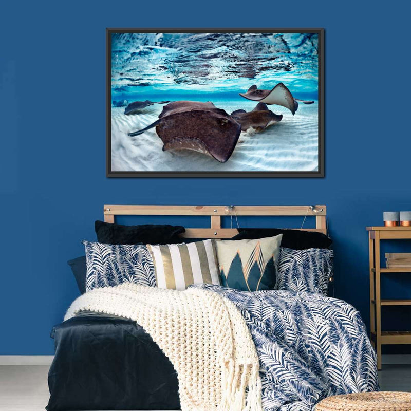 Stingrays Sea Life Wall Art