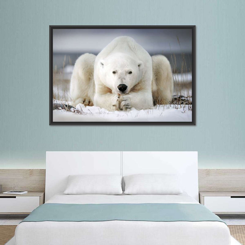 Yoga Polar Bear Wall Art