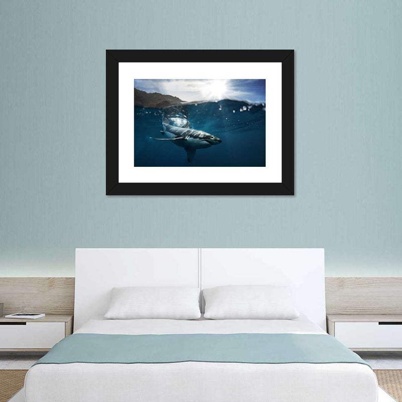 Shark Sunshine Wall Art