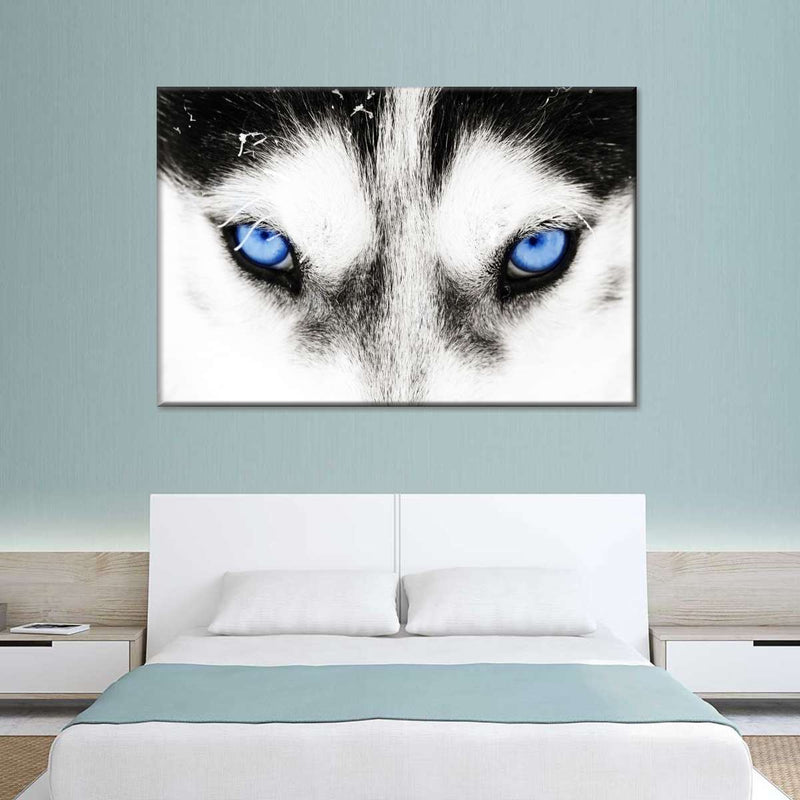 Husky's Eyes Wall Art