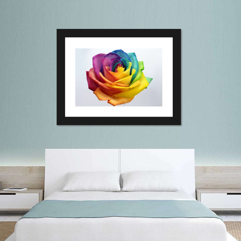Rainbow Rose Wall Art