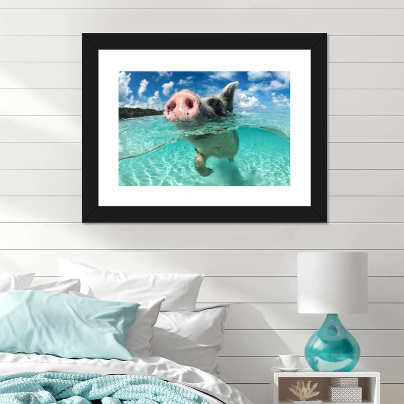 Swimming Pig Wall Art
