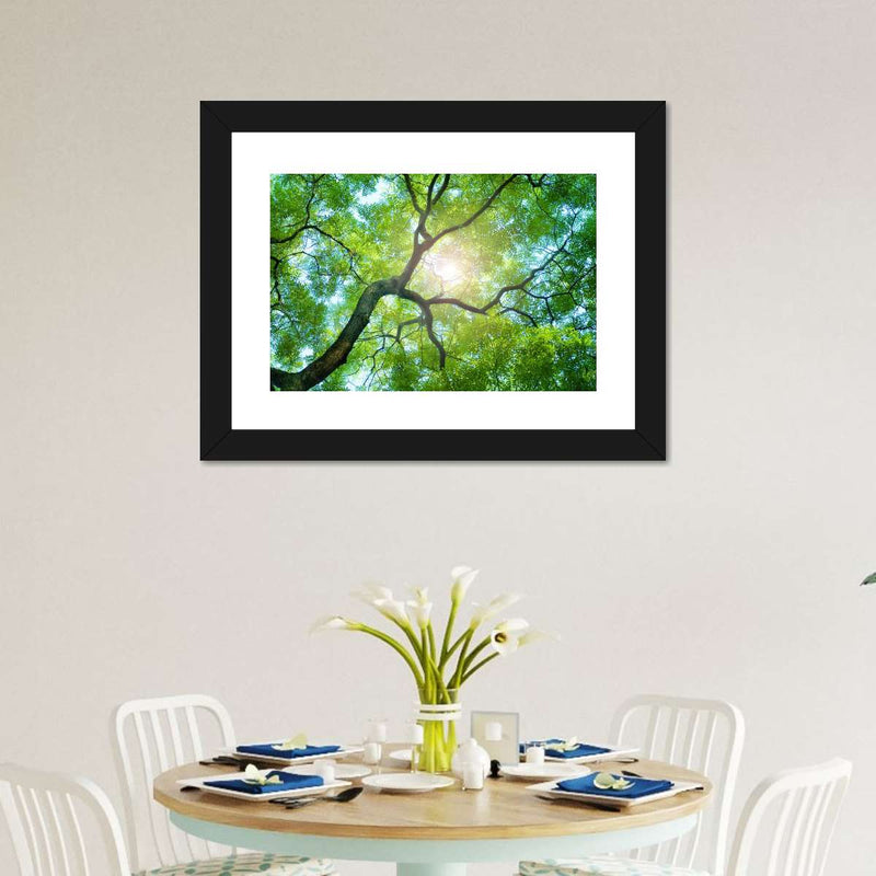 Tree Canopy Sunshine Wall Art