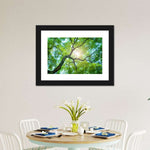 Tree Canopy Sunshine Wall Art