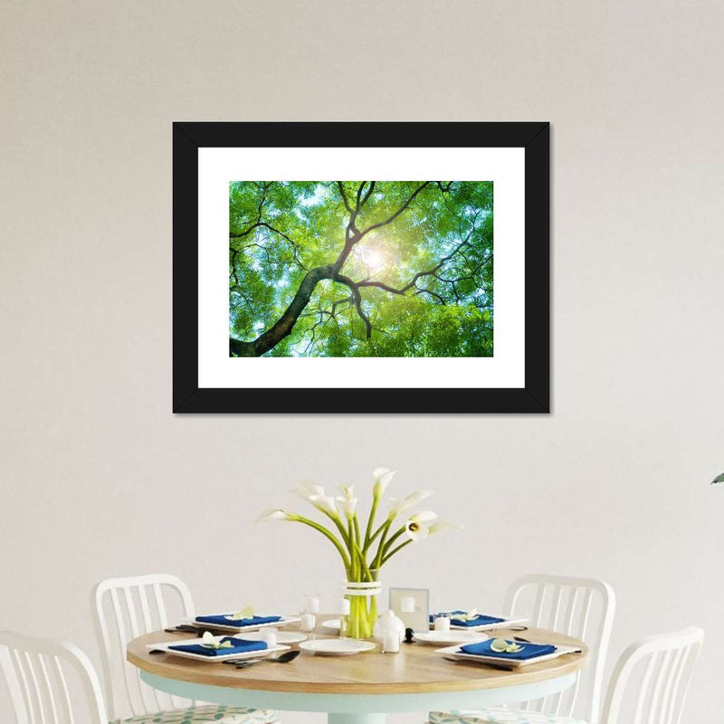 Tree Canopy Sunshine Wall Art