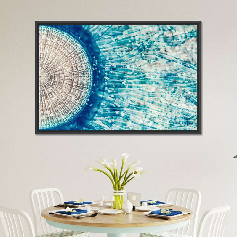 Jellyfish Details Wall Art