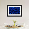 Royal Blue Roses Wall Art