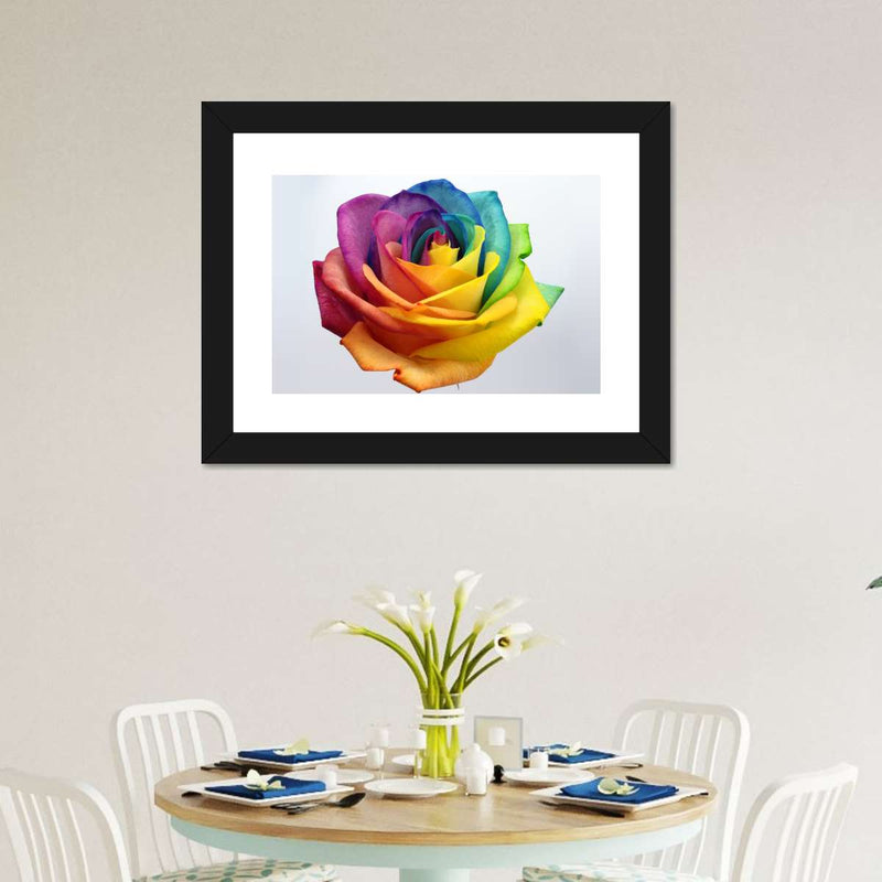 Rainbow Rose Wall Art