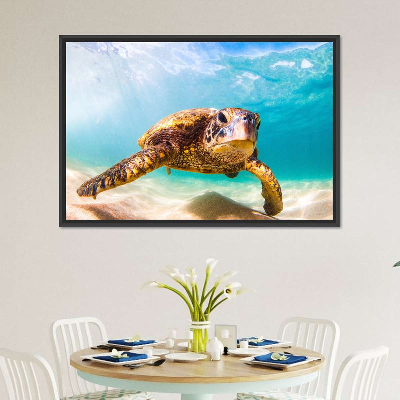 Hawaiian Turtle Wall Art