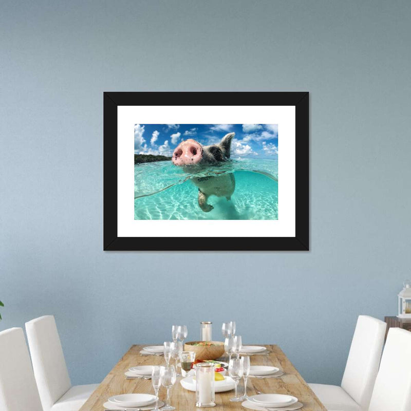 Swimming Pig Wall Art
