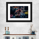 Octopus Habitat Wall Art