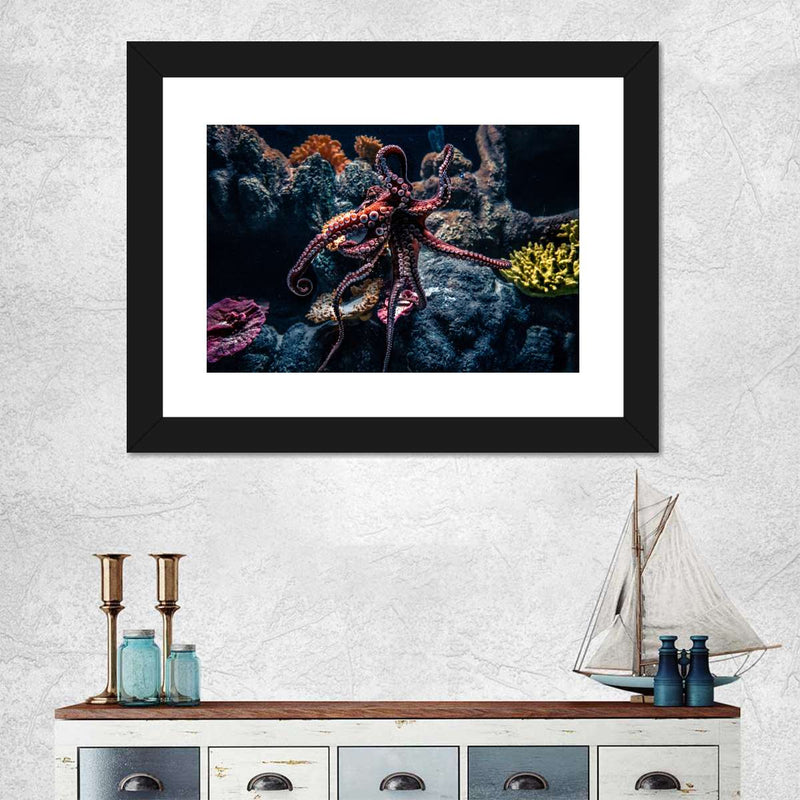 Octopus Habitat Wall Art