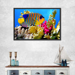 Queen Angelfish Wall Art