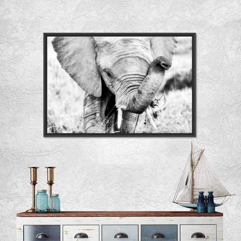 Kenyan Baby Elephant Wall Art