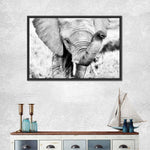 Kenyan Baby Elephant Wall Art