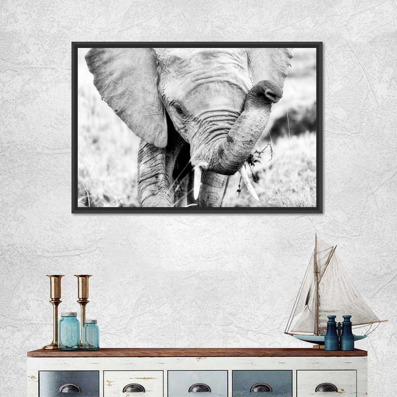 Kenyan Baby Elephant Wall Art