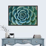 Live Succulent Wall Art