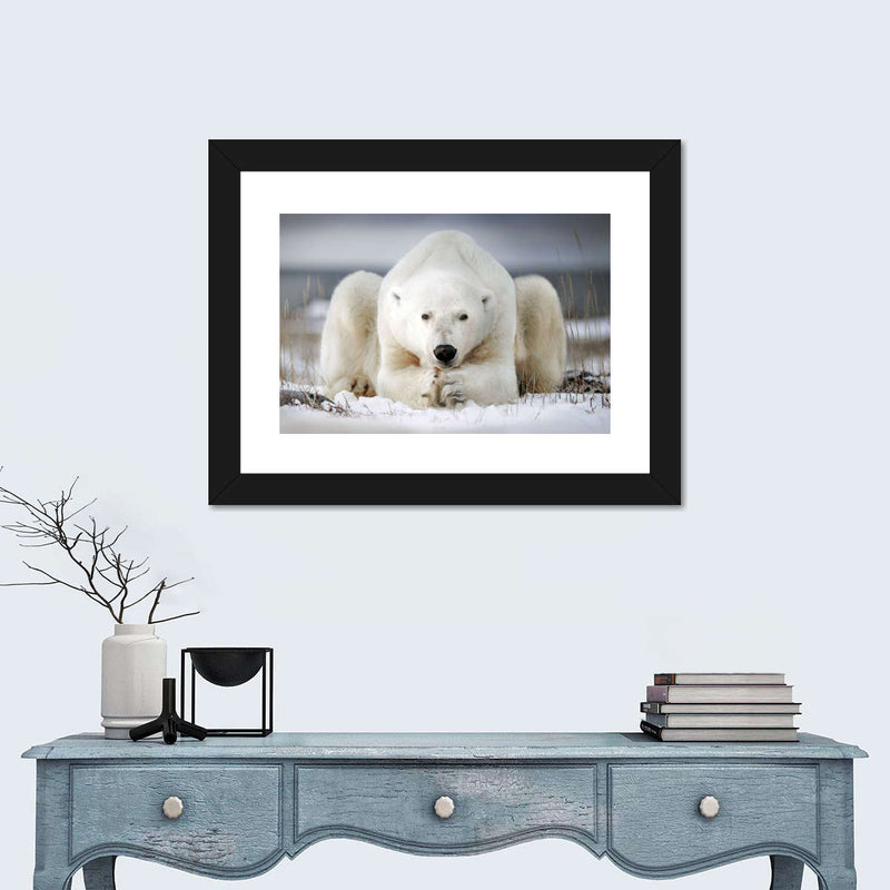 Yoga Polar Bear Wall Art