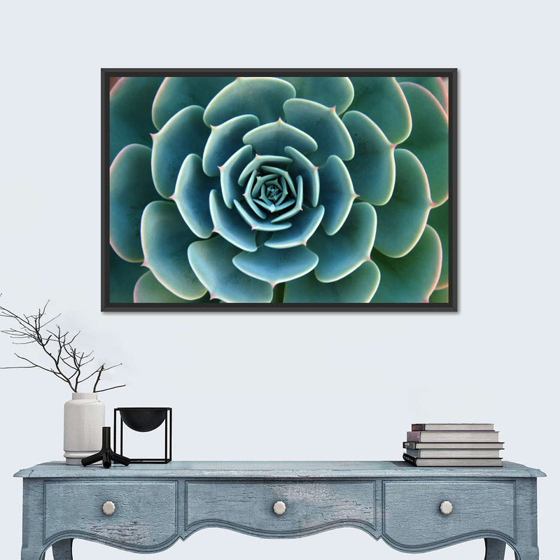 Live Succulent Wall Art