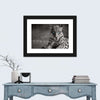 Jaguar Eyes Pop Wall Art