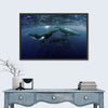 Humpback Whales Wall Art