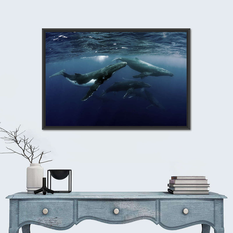 Humpback Whales Wall Art
