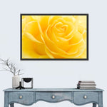 Yellow Rose Petals Wall Art