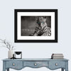Jaguar Eyes Pop Wall Art