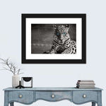 Jaguar Eyes Pop Wall Art