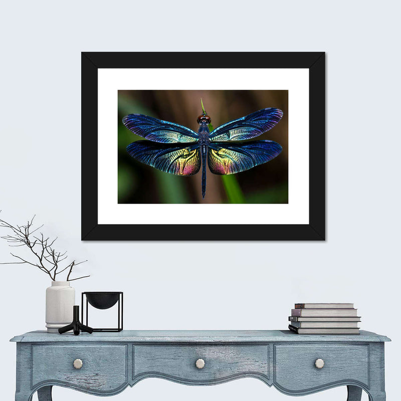 Prismatic Dragonfly Wall Art
