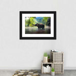 Wild Elephant Wall Art