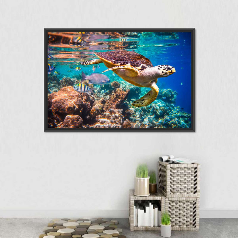 Vivid Sea Life Wall Art