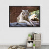 Resting White Tiger Wall Art