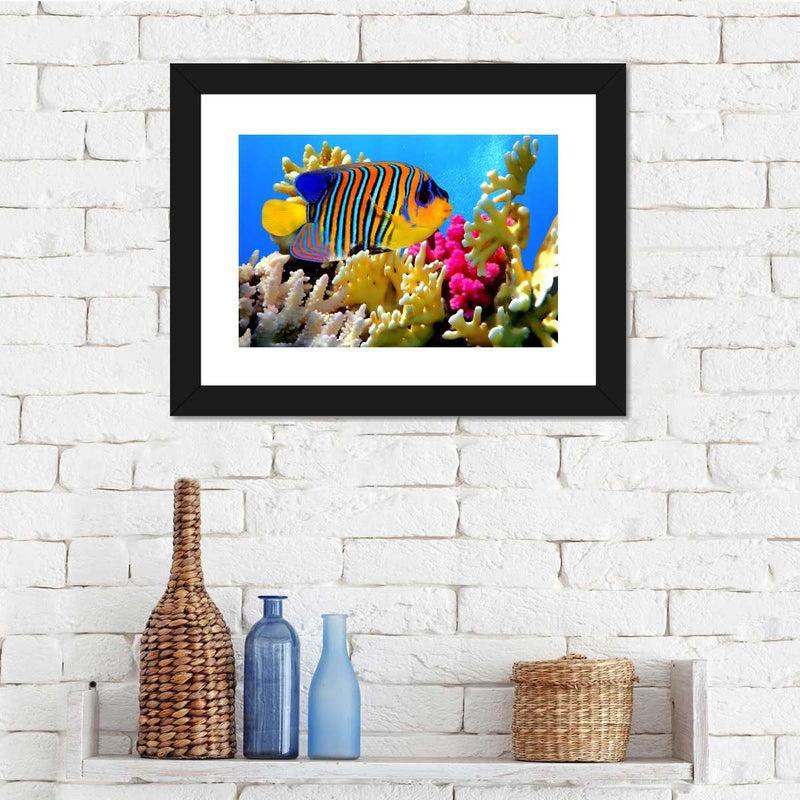 Queen Angelfish Wall Art