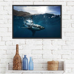 Shark Sunshine Wall Art