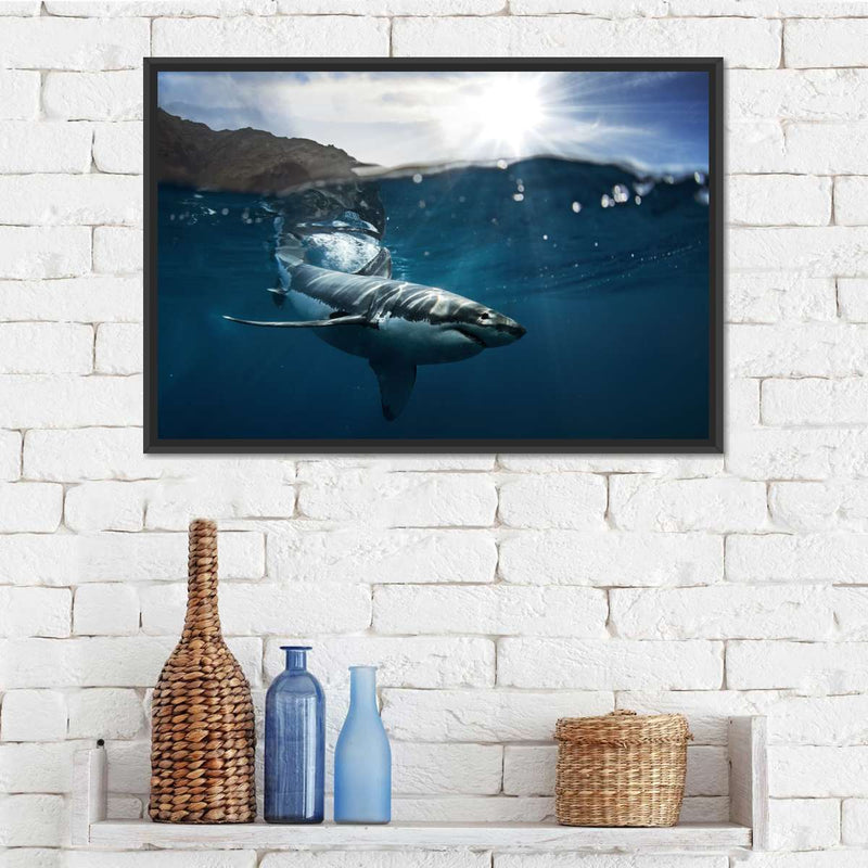 Shark Sunshine Wall Art