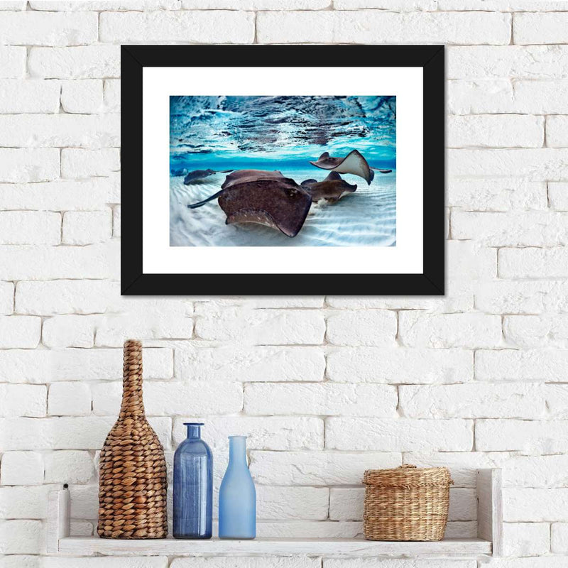 Stingrays Sea Life Wall Art