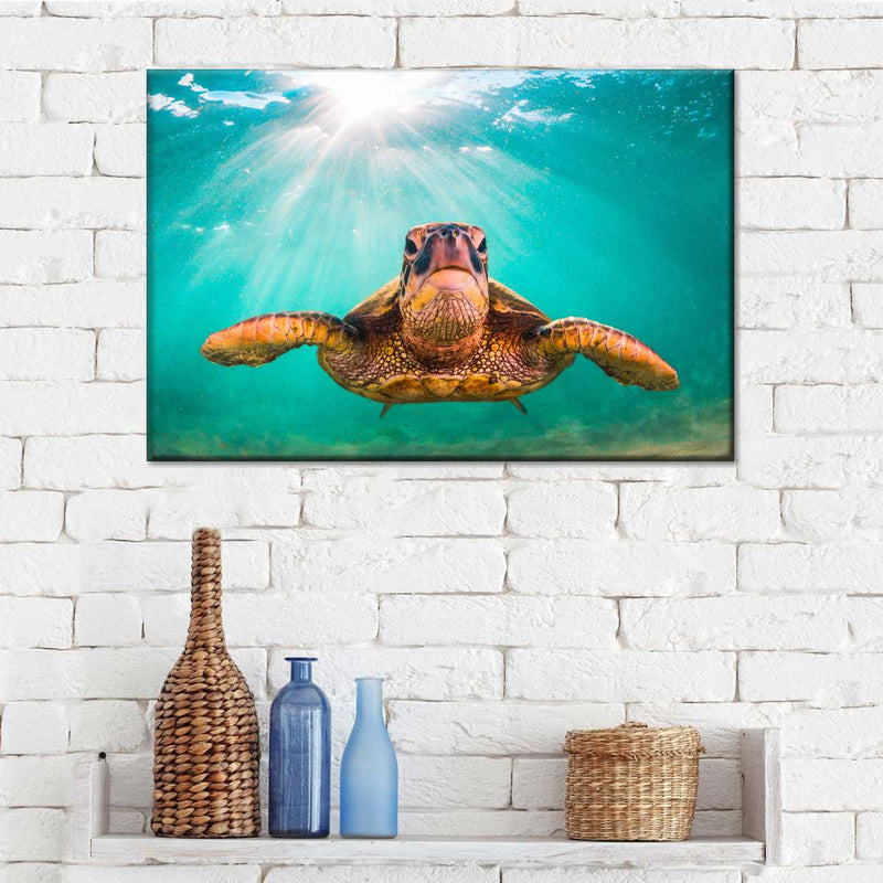 Maui Green Turtle Wall Art