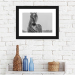 Winter Horse Wall Art