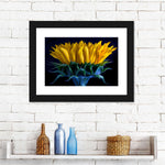 Sunflower Side View Wall Art