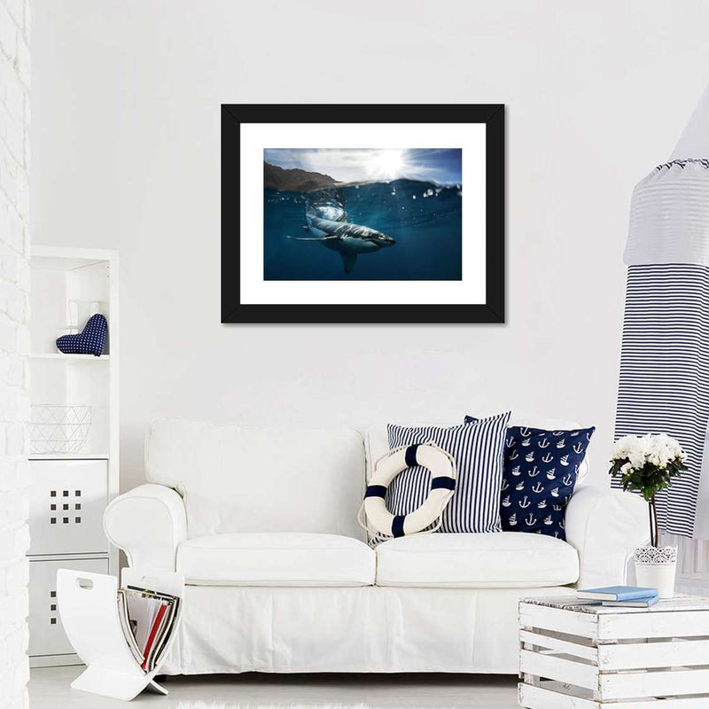 Shark Sunshine Wall Art